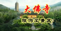 丝袜骚逼操高潮视频中国浙江-新昌大佛寺旅游风景区